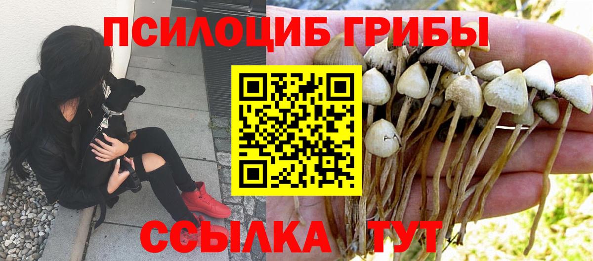 Галлюциногенные грибы Magic Shrooms  купить наркотики цена  Галлюциногенные грибы мицелий  Светлоград  Вход с VPN 