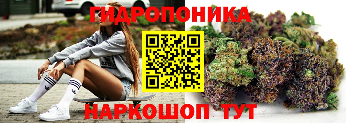 Каннабис White Widow Светлоград